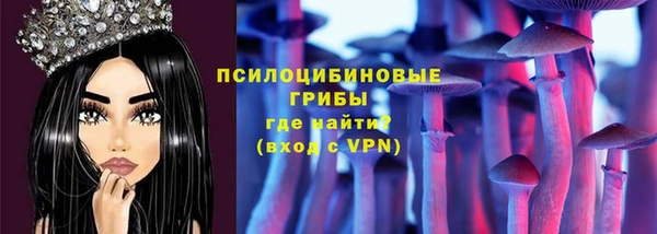тгк Белокуриха
