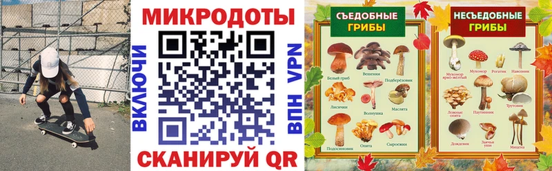 Псилоцибиновые грибы прущие грибы  Мамадыш 